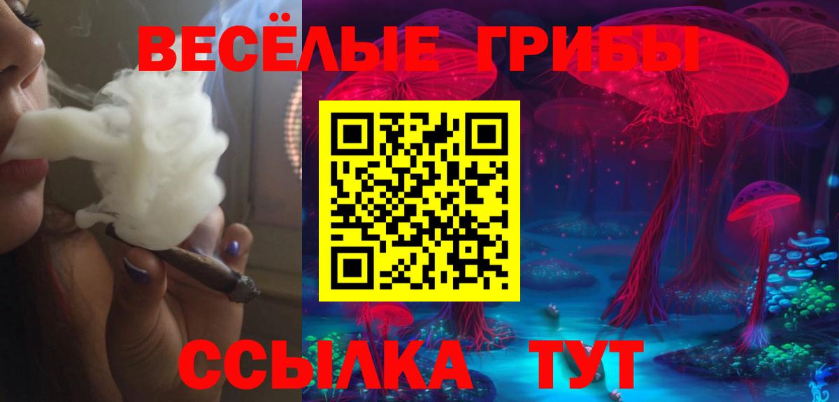 Касимов  Псилоцибиновые грибы ЛСД  Галлюциногенные грибы GOLDEN TEACHER  Вход с VPN 
